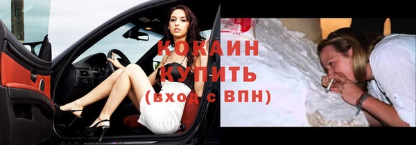 мяу мяу кристалл Няндома
